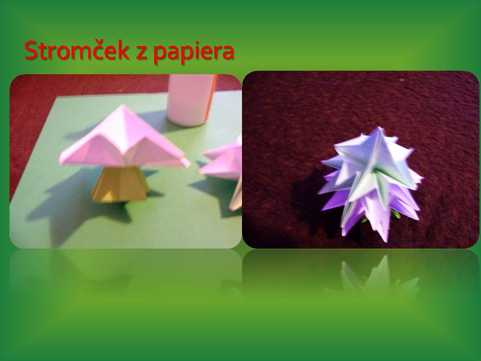 Snímka5