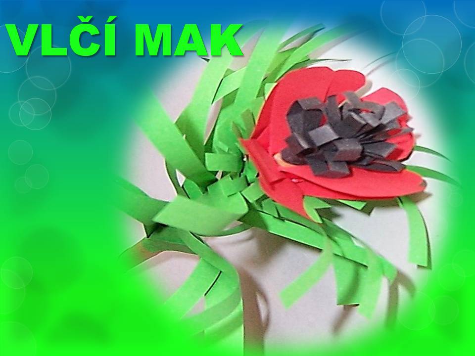 Snímka1
