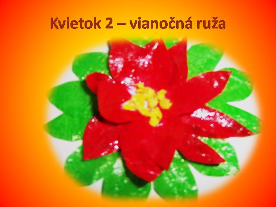 Snímka1