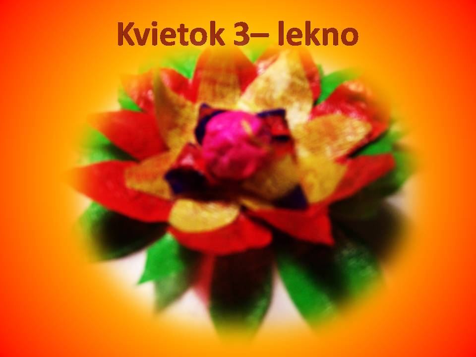 Snímka1