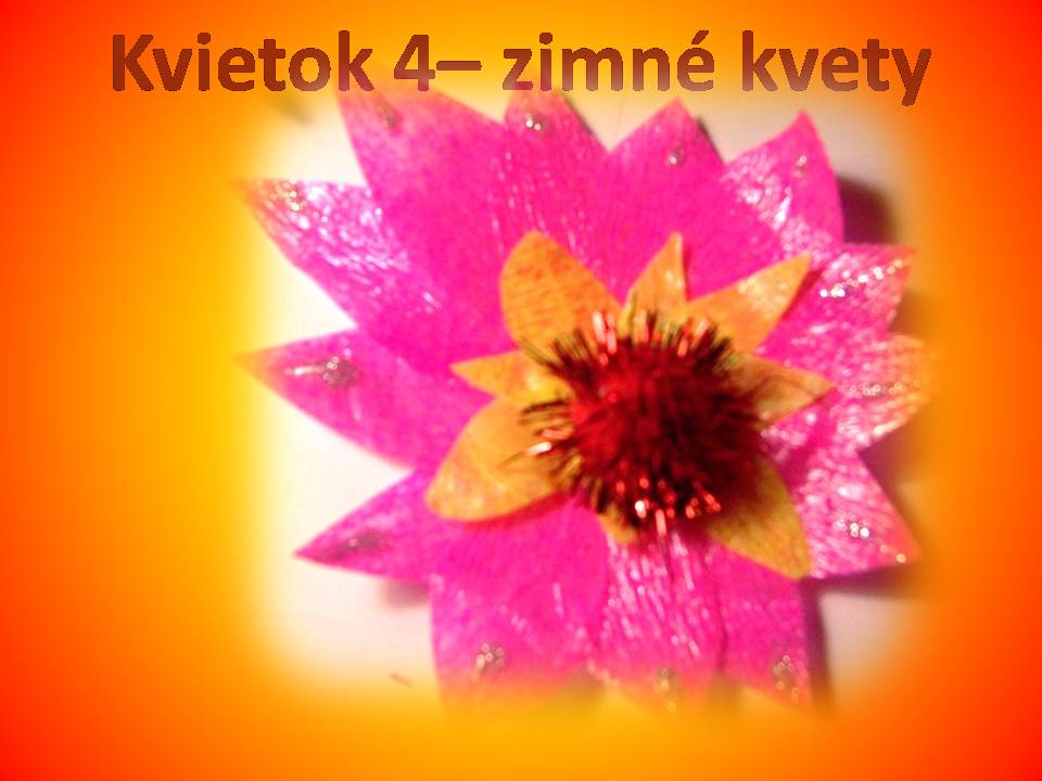 Snímka1