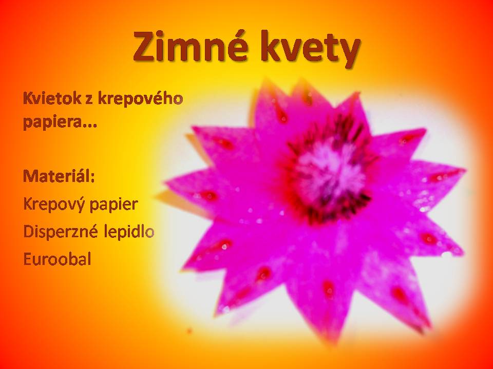 Snímka2