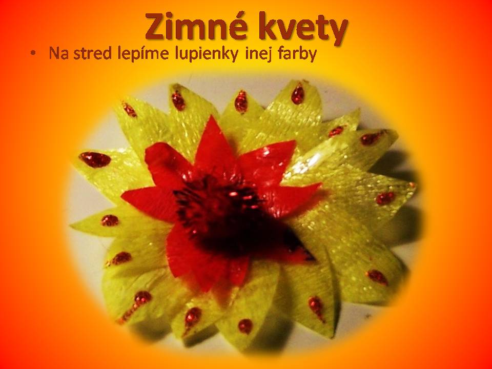 Snímka3