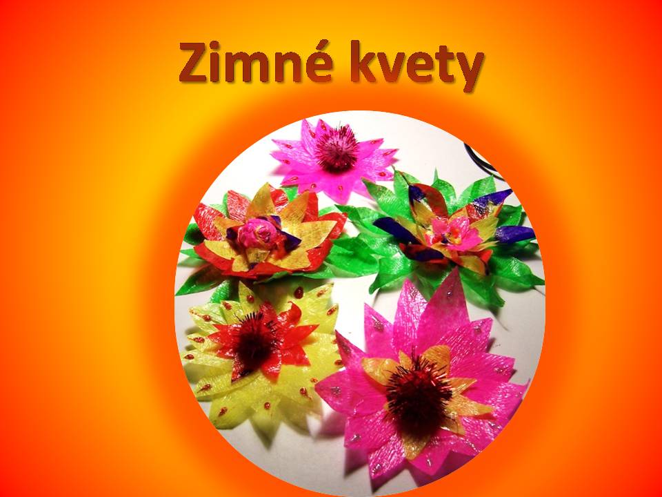 Snímka6