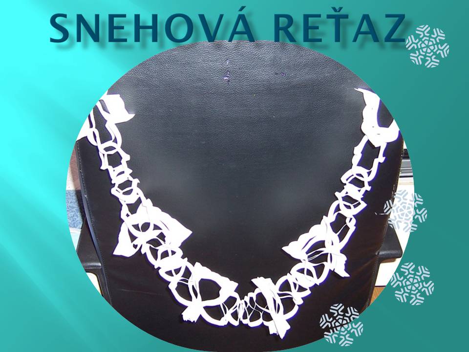 Snímka1