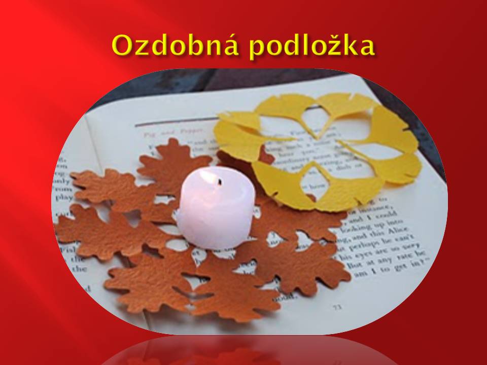 Snímka4