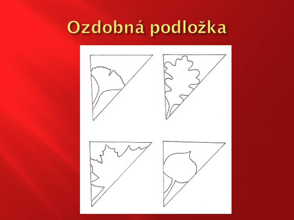 Snímka5