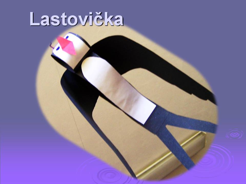 Snímka1