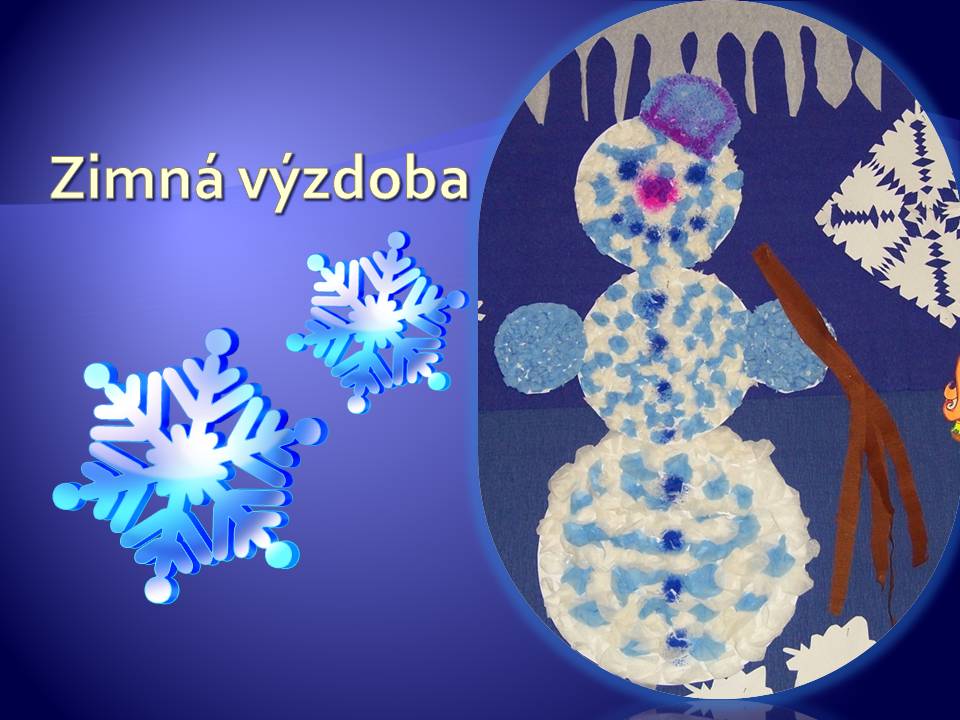Snímka5