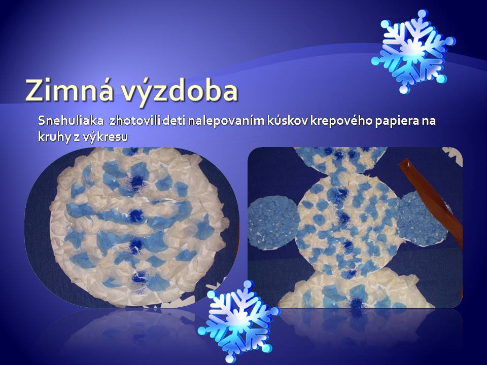 Snímka6