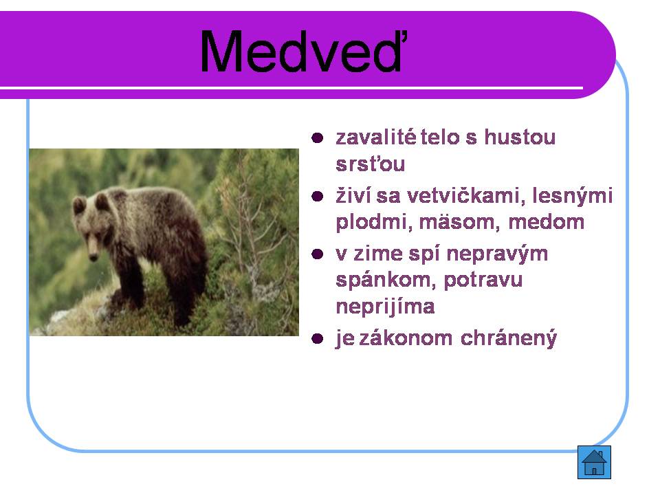 Snímka4