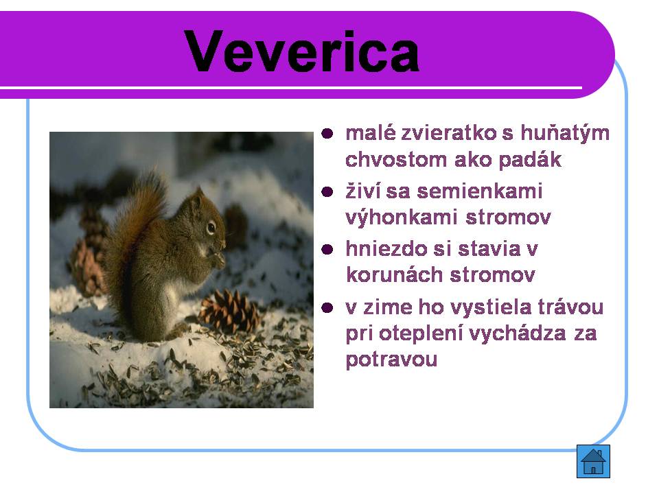Snímka6