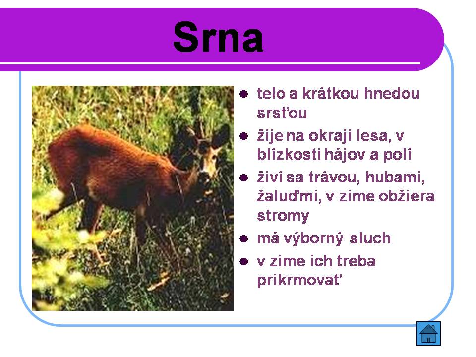 Snímka7