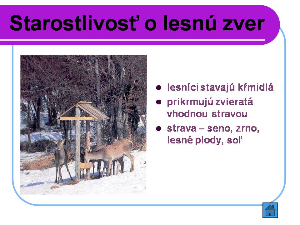 Snímka9