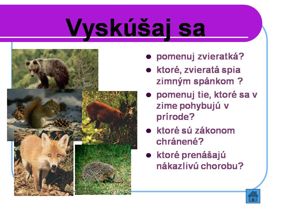 Snímka10