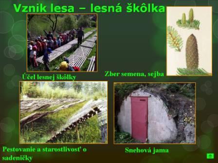 Snímka3