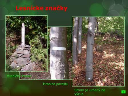 Snímka3