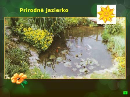 Snímka15