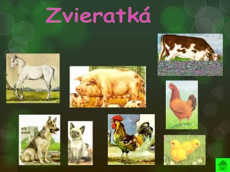 Snímka3