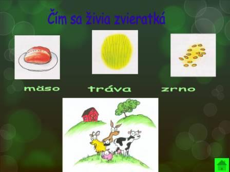 Snímka6