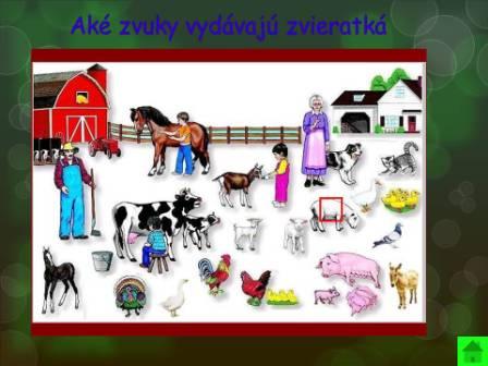 Snímka7