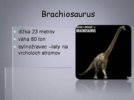 Snímka7