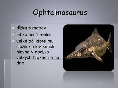 Snímka10
