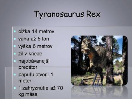 Snímka14