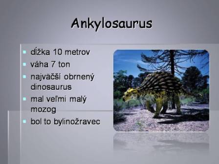 Snímka15
