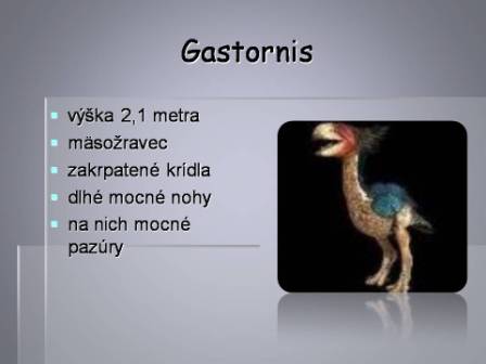 Snímka18