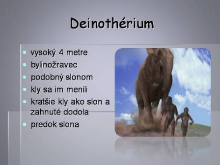 Snímka21