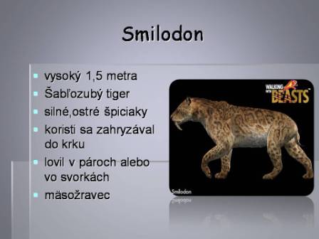 Snímka22