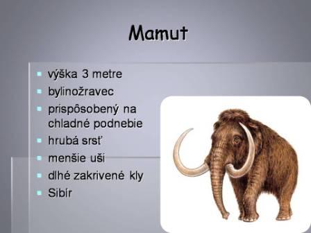 Snímka23