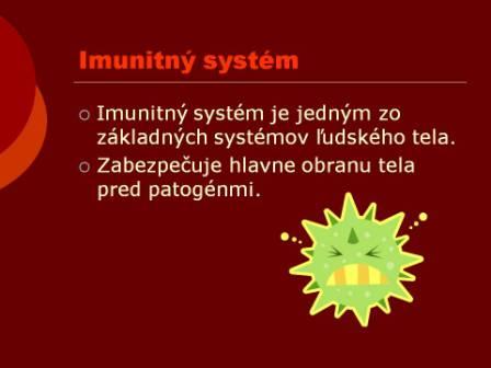 Snímka2