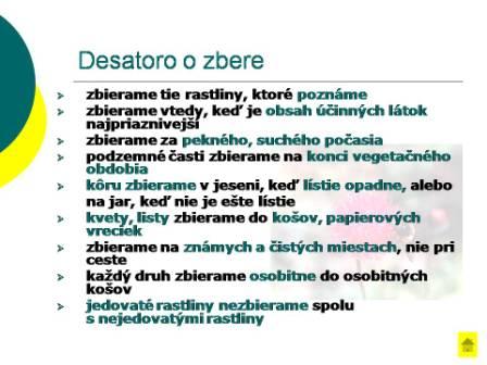 Snímka3