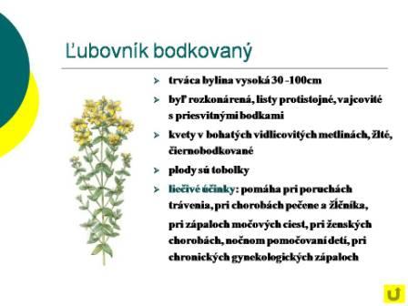 Snímka9