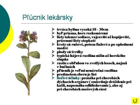 Snímka13