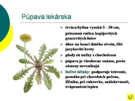Snímka14