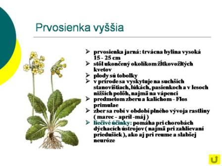 Snímka15