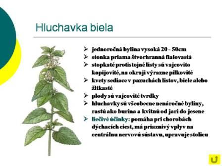 Snímka16