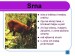 Snímka7